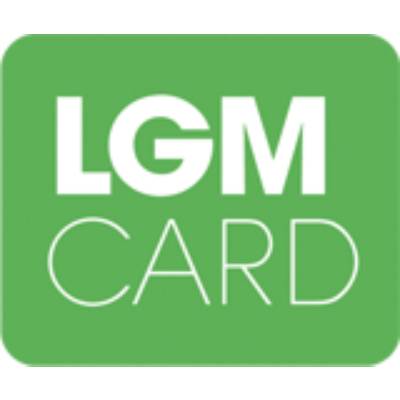 Spolupráca s LGM CARD. Naprogramovanie API pre bezpečnú komunikáciu s microSD kartou.